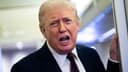 Trump critica a músicos que se sienten inseguros y propone un evento con su participación.