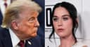 Katy Perry expresa su descontento por el uso de Firework en un video de la Casa Blanca que distorsiona su mensaje.